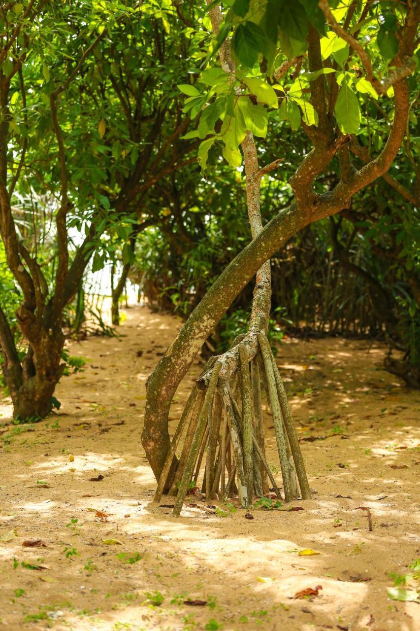 Rathgama Beach House Luaran gambar